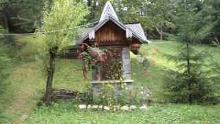 Villa Doina - 9
