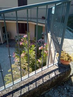 B&B Severini - Morrovalle - 7