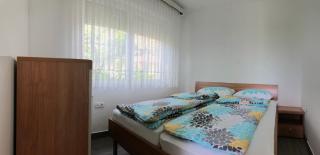 Apartments Andrej - Ptuj - 5