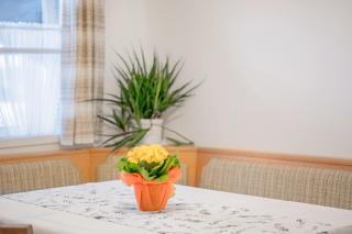 Ferienwohnung Wennesz 2 - Chieming - 5