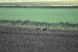 Annas-Huus - Nordstrand - 6