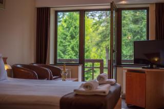 Hotel Marami - Sinaia - 1