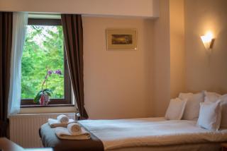 Hotel Marami - Sinaia - 5