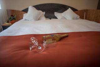 Hotel Marami - Sinaia - 7