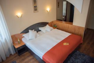 Hotel Marami - Sinaia - 9