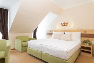 Hotel Česká Koruna - Děčín - 1