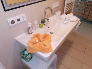 Gartenappartement Ybbs - Ybbs an der Donau - 8