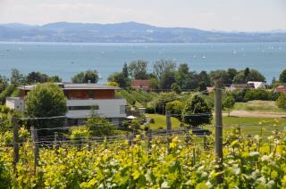 Ferienwohnung Weinbergblick - 0