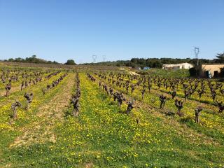 le clos soleilhan - Saint-Gervais - 5