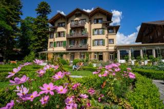 Alpenrose Hotel and Gardens - Wilderswil - 8