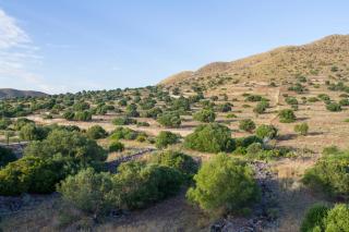 Casas Rurales La Minilla - Los Albaricoques - 1
