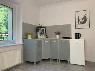 Apartament Leśny - Leśna 30 - Kudowa-Zdrój - 7