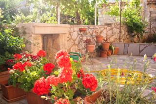 Apartments Sanja - Cres - 8