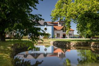 Darovanský Dvůr - Wellness & Golf Hotel - Břasy - 4