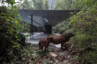 XY·Yun House - Yangshuo - 5