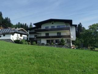 Ferienwohnung Argus Monika - Fügenberg - 0