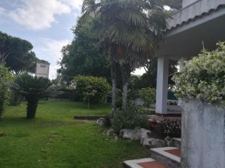 Villino Sabaudia - Sabaudia - 9