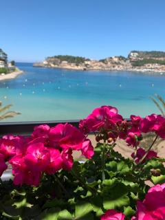 Los Geranios - Port de Sóller - 0
