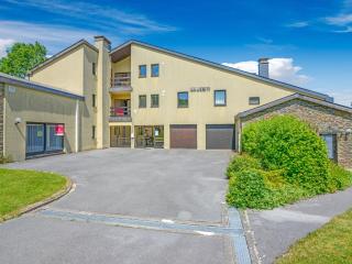 Apartment in Gros-Fays near Forest & BBQ - Gros-Fays - 5