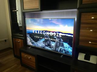 Apartament Rest & Ski - 2