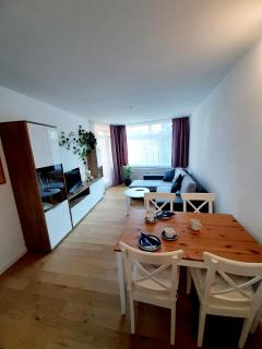Apartment Anja - Schluchsee - 0