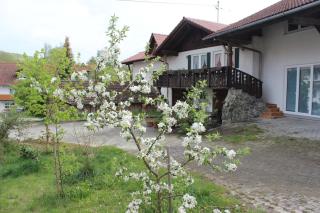 Appartement-Stetten - Stetten - 8
