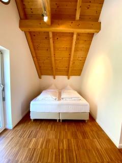 Erzherzog Johann Relax Appartements - 4