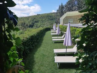 Bosco Della Spina - 3