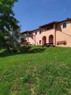 Antonella House -Podere della Collina - Palaia - 6