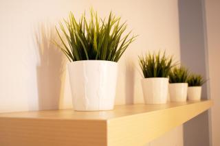 Cozy Flat in Heart of Acropolis - Atene - 2