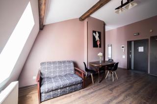 Апартаменти Центр Площа Митна - 7