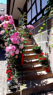 Chambres d'hôtes "La Petite Vallée" - 8