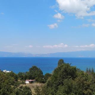 The Brothers Villa Hotel - Ohrid - 0