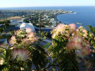 Eastern Wind Home - 5