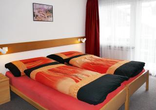 Apartments Albana - Saas-Fee - 5