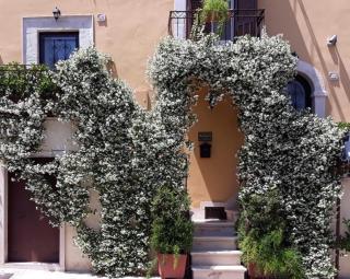 B&B Il Principe - Palo del Colle - 0