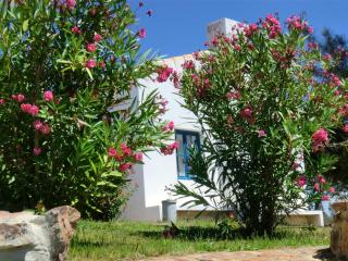Montes de Baixo - 1