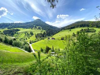 Pointhütte - Grossarl - 7