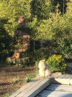 Villa l’Ensoleillée - 5