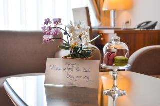 Vila Bled - Bled - 7