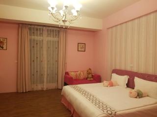 Baby Pig B&B - Taitung City - 9