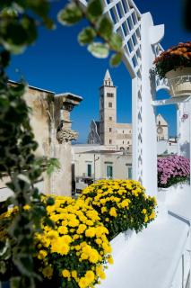White House - Trani - 9