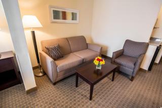 Comfort Suites University Area Notre Dame-South Bend - South Bend - 2