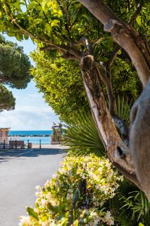 Marina - San Bartolomeo al Mare - 6