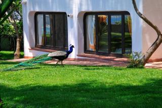 Arbatax Park Resort - Ville del Parco - Àrbatax - 8