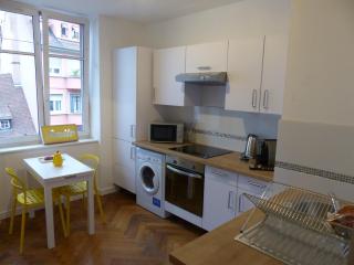 Strasbourg Appart Rue du 22 Novembre - Straatsburg - 1