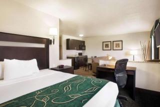 Travelodge by Wyndham Livonia - Livonia - 7