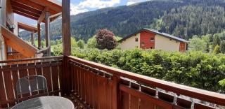 Family Apartment FUCHS Bad Kleinkirchheim - 3