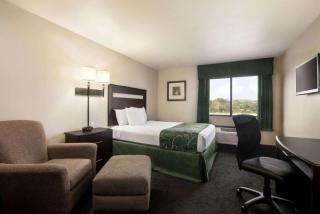 Travelodge by Wyndham Livonia - Livonia - 5