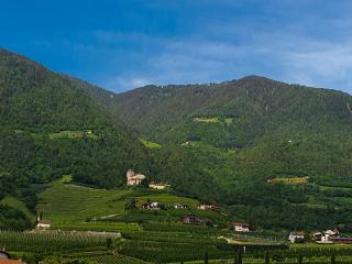 Hotel FleurAlp - Tscherms - 6